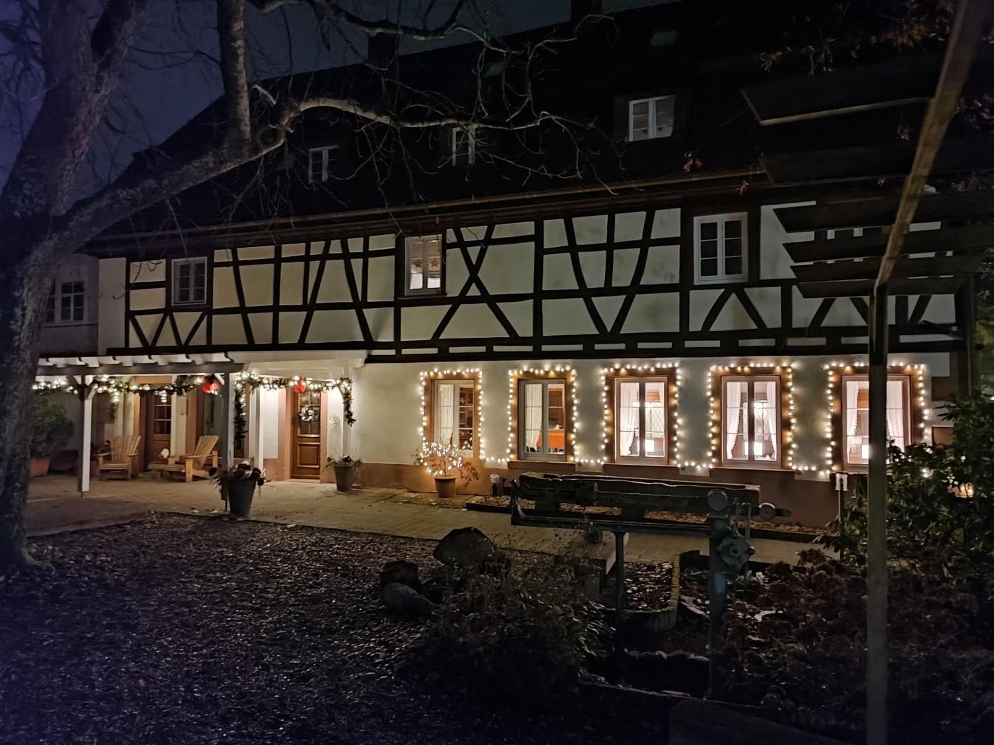 Boutique-Hotel Krone Denzlingen Luaran gambar